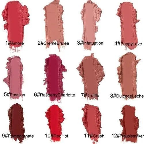 12 Color Long Lasting Moist Lip Gloss Plumper Liquid Lipstick