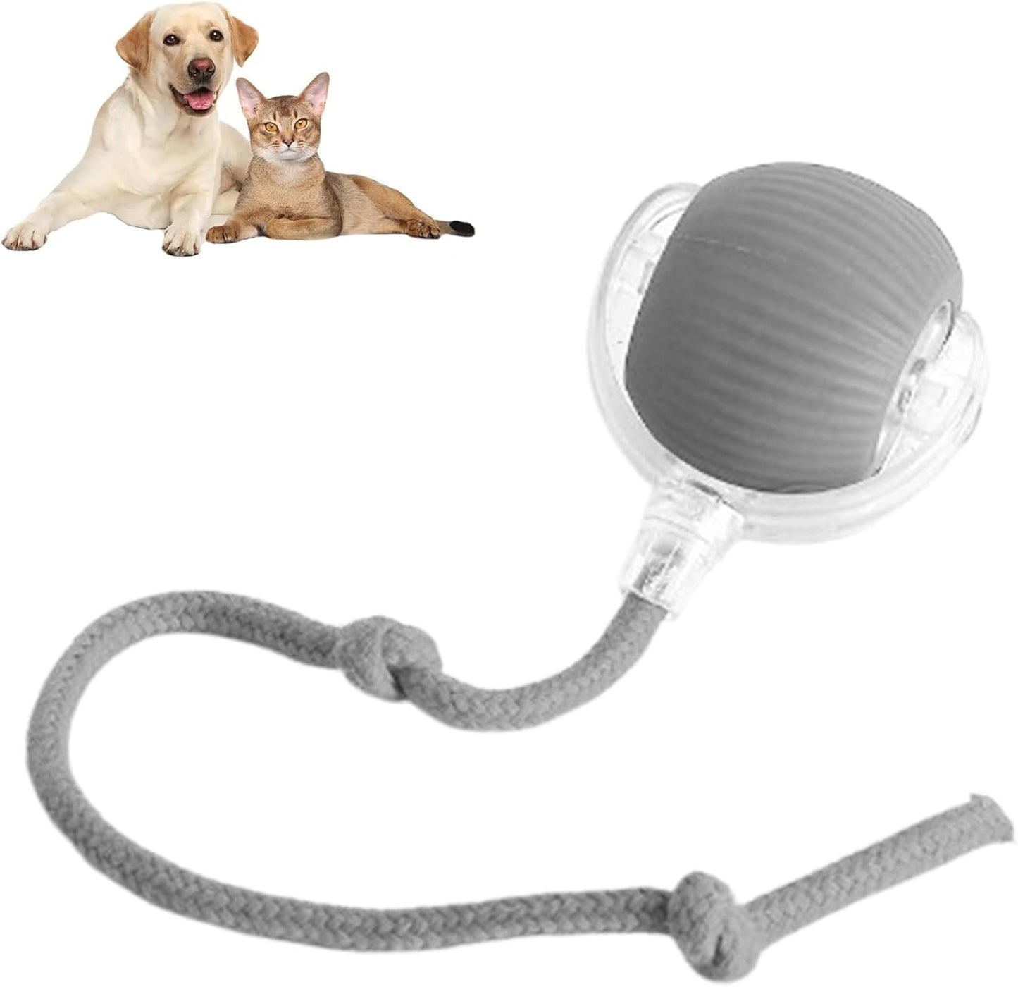 Smart Chase Pet Toy Ball