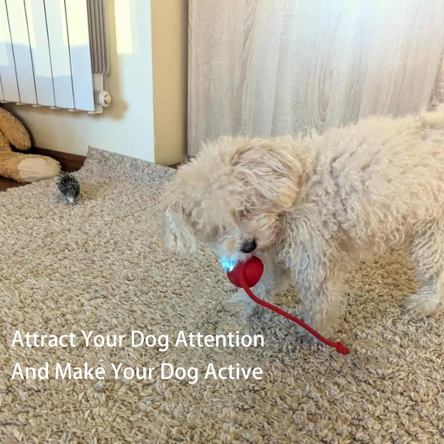Smart Chase Pet Toy Ball