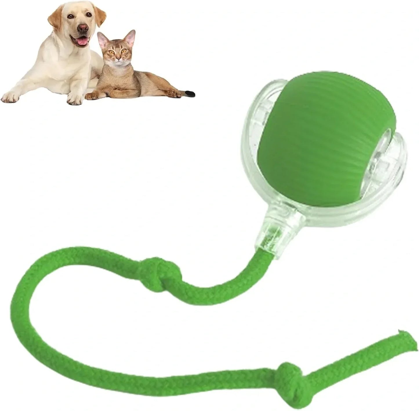 Smart Chase Pet Toy Ball